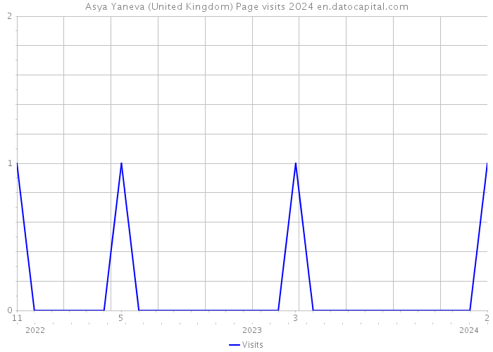 Asya Yaneva (United Kingdom) Page visits 2024 