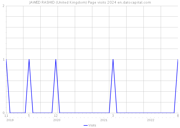 JAWED RASHID (United Kingdom) Page visits 2024 