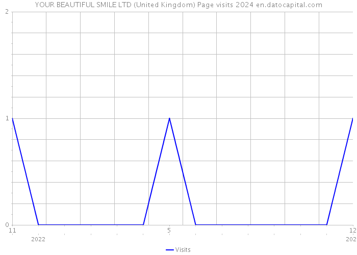 YOUR BEAUTIFUL SMILE LTD (United Kingdom) Page visits 2024 