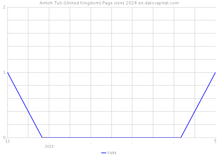 Amish Tuli (United Kingdom) Page visits 2024 