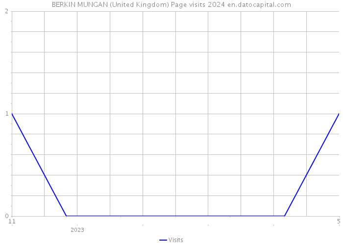 BERKIN MUNGAN (United Kingdom) Page visits 2024 