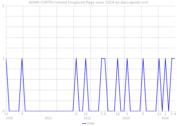 ADAM CURTIN (United Kingdom) Page visits 2024 