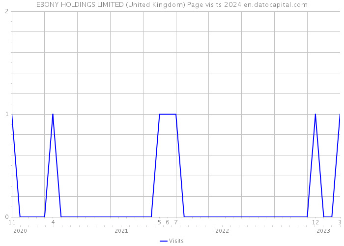 EBONY HOLDINGS LIMITED (United Kingdom) Page visits 2024 