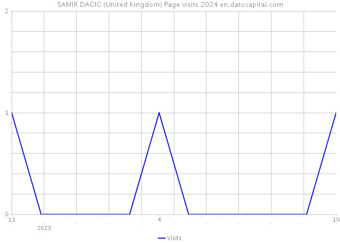 SAMIR DACIC (United Kingdom) Page visits 2024 