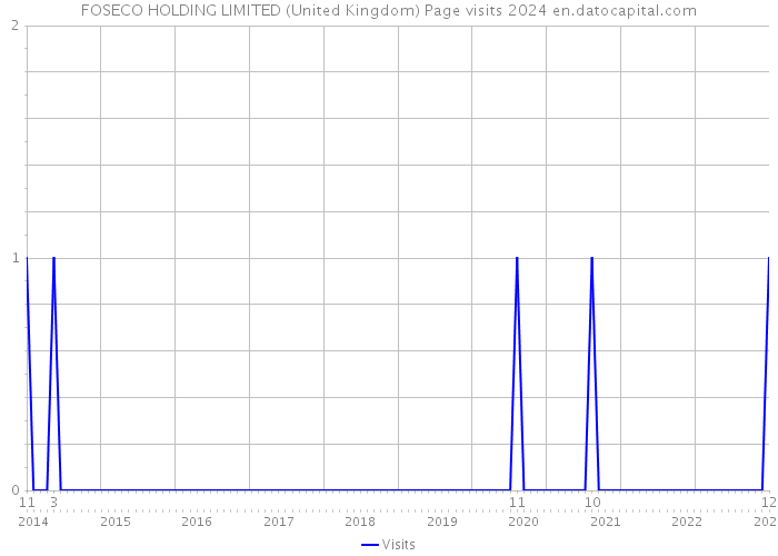 FOSECO HOLDING LIMITED (United Kingdom) Page visits 2024 