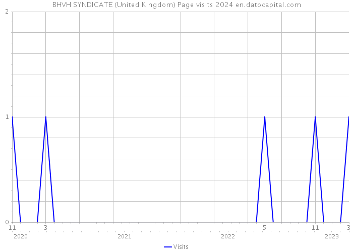 BHVH SYNDICATE (United Kingdom) Page visits 2024 