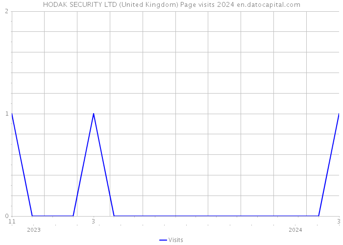 HODAK SECURITY LTD (United Kingdom) Page visits 2024 