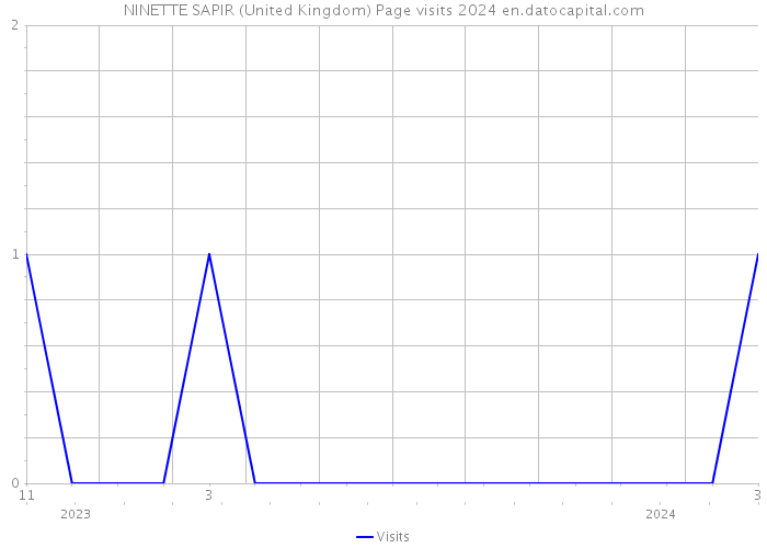 NINETTE SAPIR (United Kingdom) Page visits 2024 