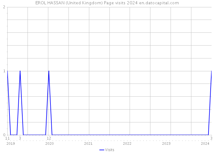 EROL HASSAN (United Kingdom) Page visits 2024 
