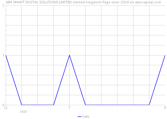 J&M SMART DIGITAL SOLUTIONS LIMITED (United Kingdom) Page visits 2024 