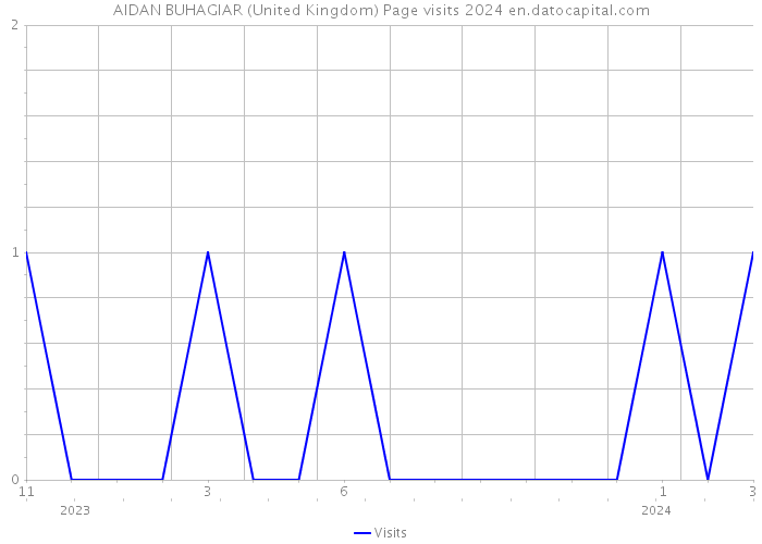 AIDAN BUHAGIAR (United Kingdom) Page visits 2024 