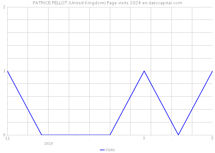 PATRICE PELLOT (United Kingdom) Page visits 2024 