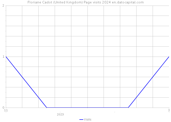 Floriane Cadot (United Kingdom) Page visits 2024 