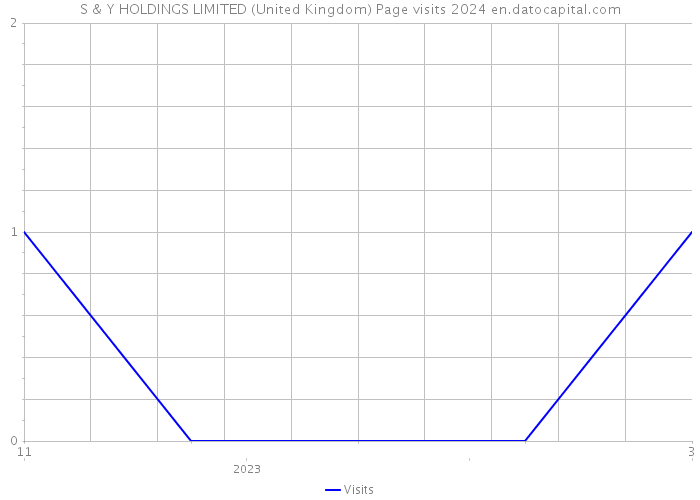 S & Y HOLDINGS LIMITED (United Kingdom) Page visits 2024 