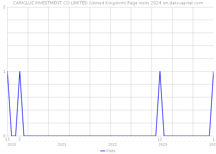 CARIGLUZ INVESTMENT CO LIMITED (United Kingdom) Page visits 2024 