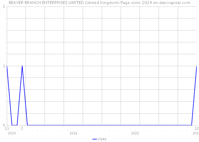 BEAVER BRANCH ENTERPRISES LIMITED (United Kingdom) Page visits 2024 