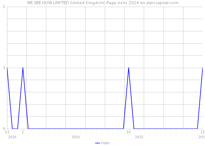 WE SEE NOW LIMITED (United Kingdom) Page visits 2024 