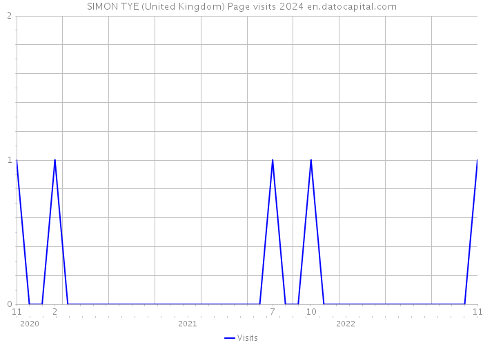 SIMON TYE (United Kingdom) Page visits 2024 