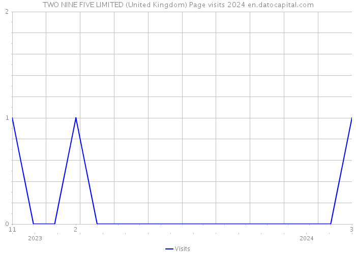 TWO NINE FIVE LIMITED (United Kingdom) Page visits 2024 