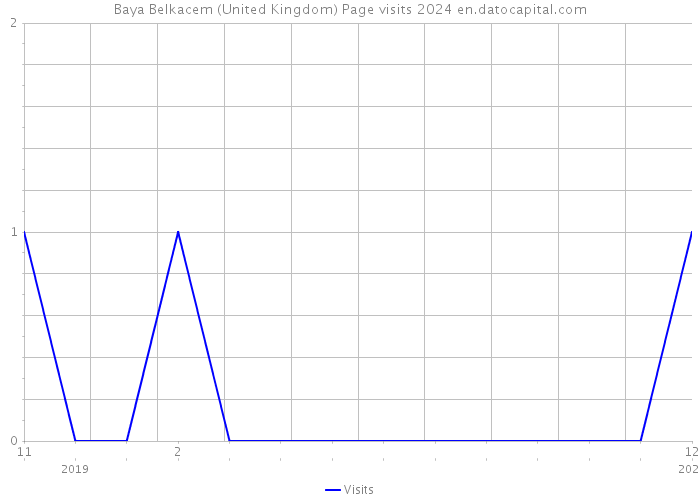 Baya Belkacem (United Kingdom) Page visits 2024 