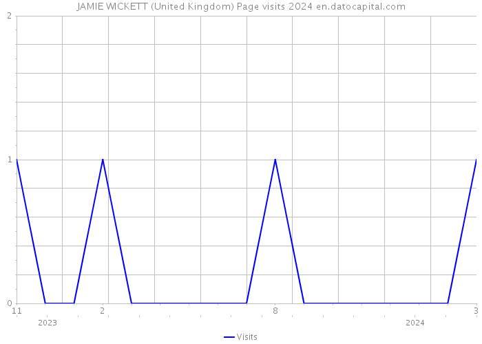JAMIE WICKETT (United Kingdom) Page visits 2024 