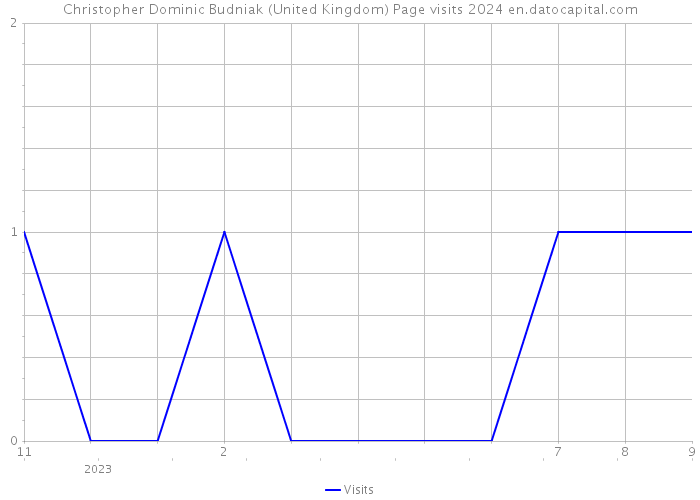 Christopher Dominic Budniak (United Kingdom) Page visits 2024 
