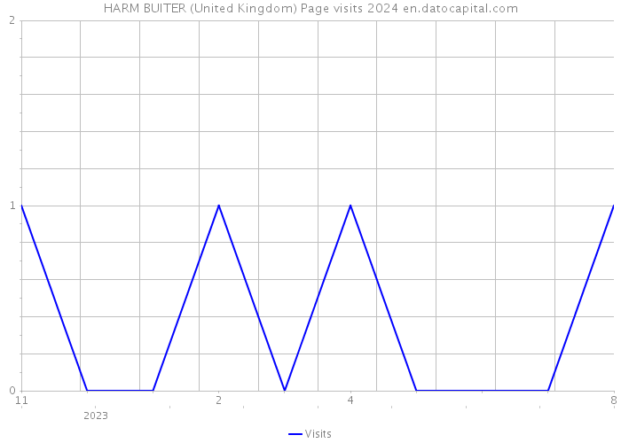 HARM BUITER (United Kingdom) Page visits 2024 