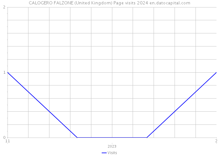 CALOGERO FALZONE (United Kingdom) Page visits 2024 