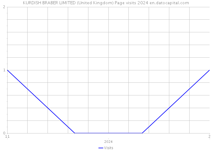 KURDISH BRABER LIMITED (United Kingdom) Page visits 2024 