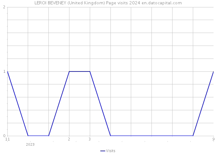 LEROI BEVENEY (United Kingdom) Page visits 2024 