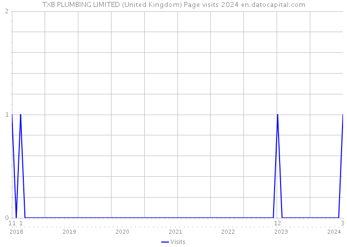TXB PLUMBING LIMITED (United Kingdom) Page visits 2024 