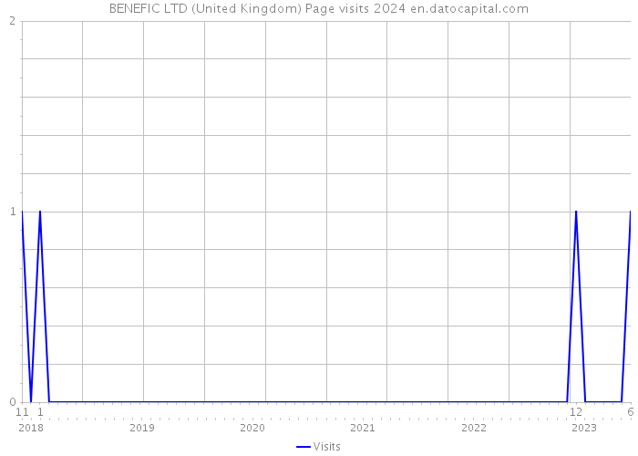 BENEFIC LTD (United Kingdom) Page visits 2024 