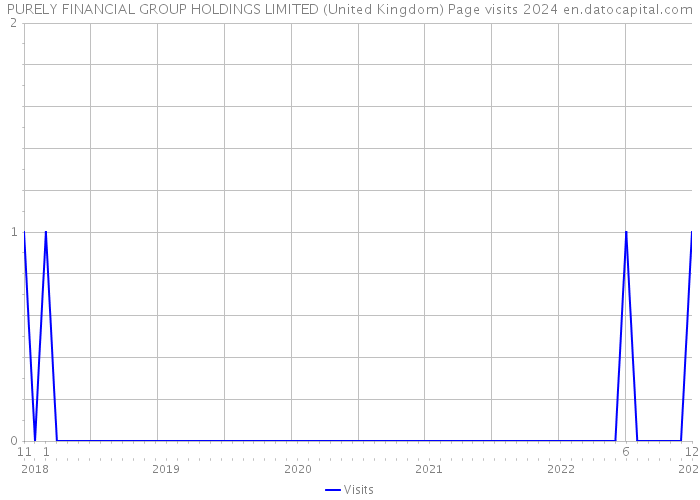 PURELY FINANCIAL GROUP HOLDINGS LIMITED (United Kingdom) Page visits 2024 