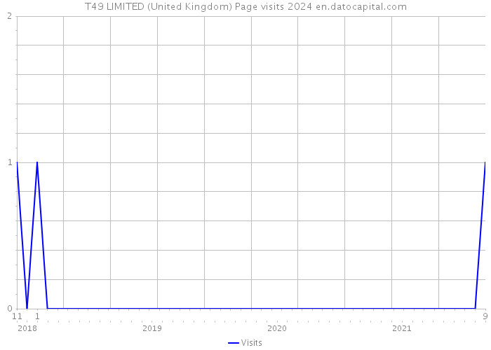 T49 LIMITED (United Kingdom) Page visits 2024 