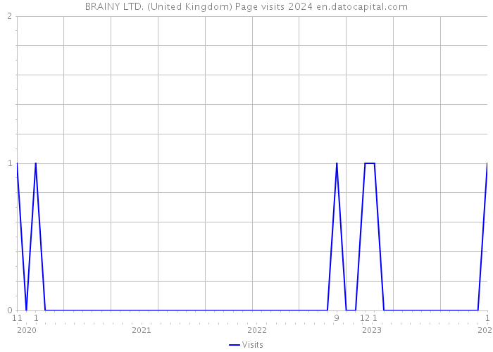 BRAINY LTD. (United Kingdom) Page visits 2024 