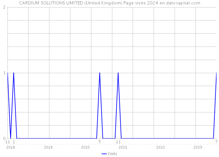CARDIUM SOLUTIONS LIMITED (United Kingdom) Page visits 2024 