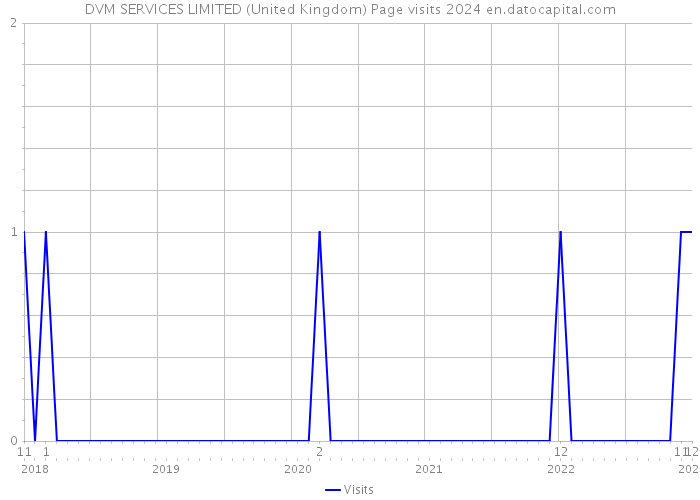 DVM SERVICES LIMITED (United Kingdom) Page visits 2024 