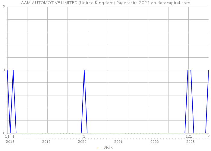 AAM AUTOMOTIVE LIMITED (United Kingdom) Page visits 2024 