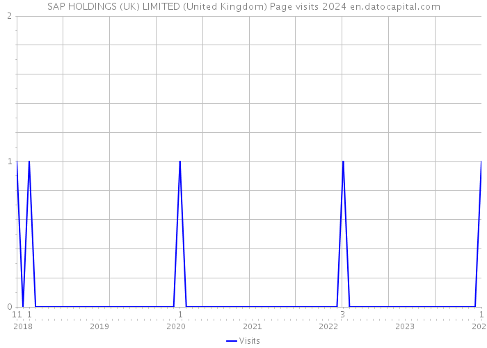 SAP HOLDINGS (UK) LIMITED (United Kingdom) Page visits 2024 