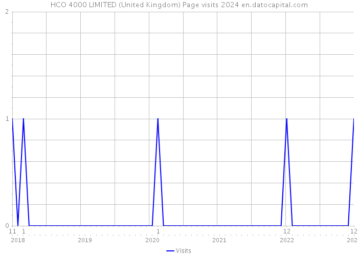 HCO 4000 LIMITED (United Kingdom) Page visits 2024 