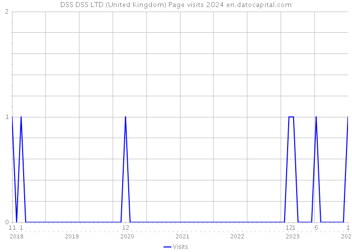 DSS DSS LTD (United Kingdom) Page visits 2024 