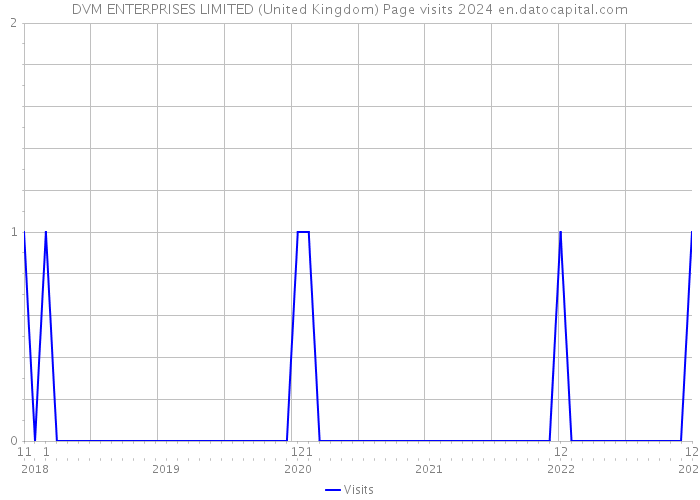 DVM ENTERPRISES LIMITED (United Kingdom) Page visits 2024 