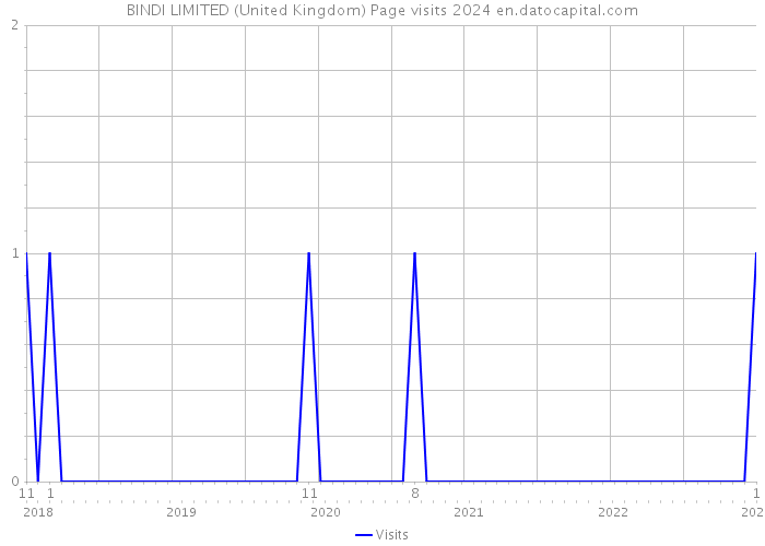 BINDI LIMITED (United Kingdom) Page visits 2024 