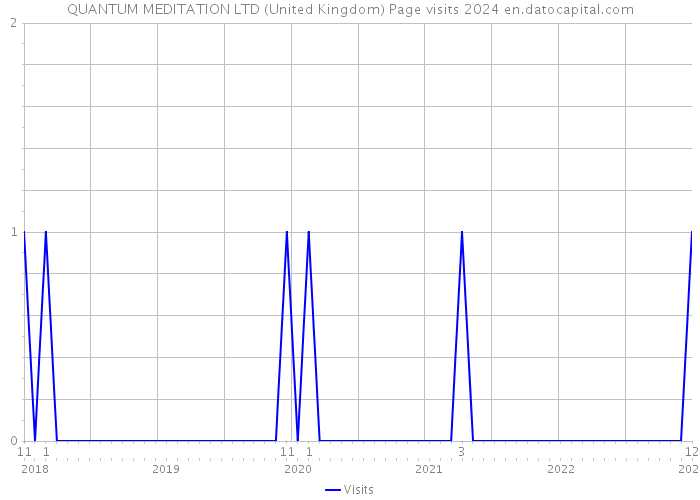 QUANTUM MEDITATION LTD (United Kingdom) Page visits 2024 