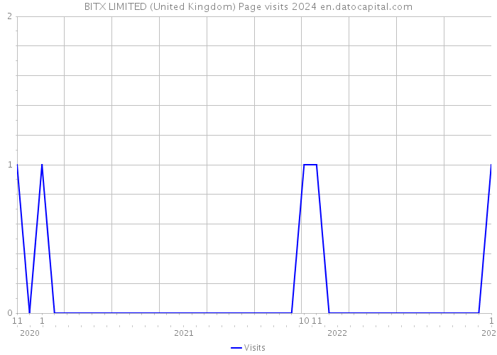 BITX LIMITED (United Kingdom) Page visits 2024 