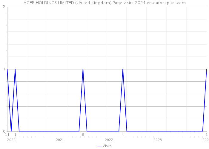 ACER HOLDINGS LIMITED (United Kingdom) Page visits 2024 