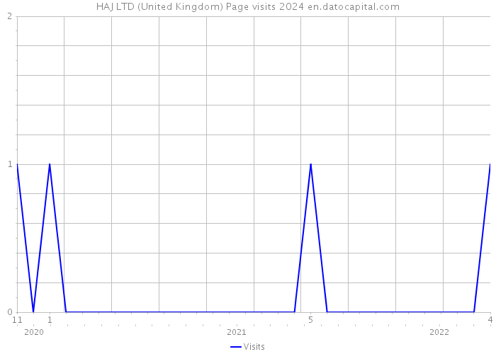 HAJ LTD (United Kingdom) Page visits 2024 