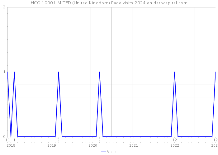 HCO 1000 LIMITED (United Kingdom) Page visits 2024 