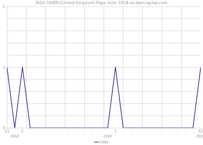 RIZA CIMEN (United Kingdom) Page visits 2024 