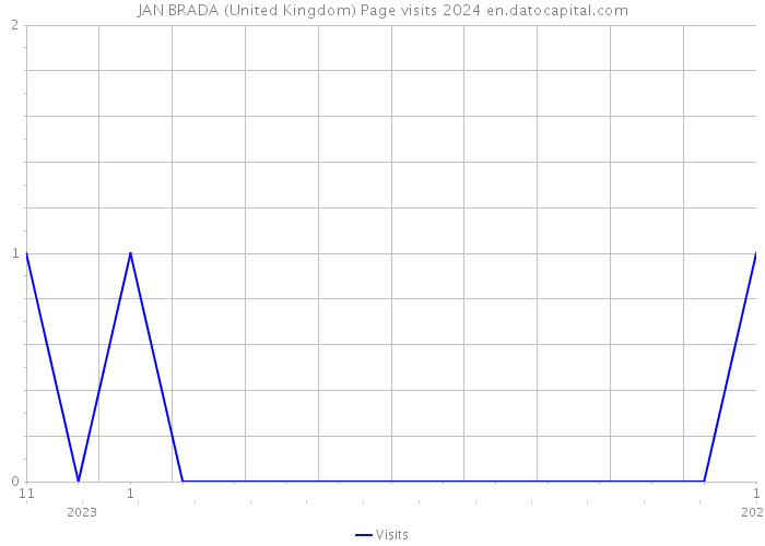 JAN BRADA (United Kingdom) Page visits 2024 